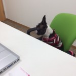 社長れおん２