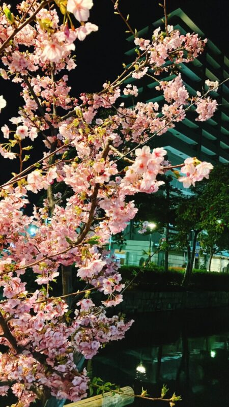 「隣の風は良く感じる」秋田市の家づくり、新築住宅ならプライムハウス　:　成田伸一