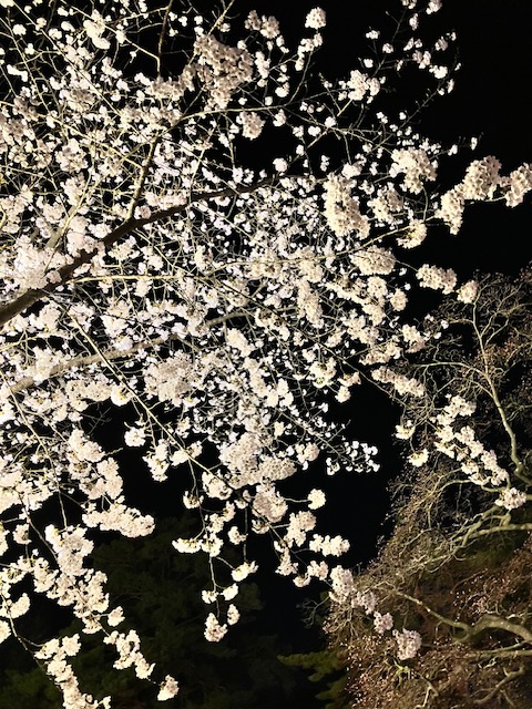 「今年も！」秋田市の家づくり、新築戸建てならプライムハウス　営業　山下