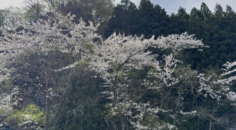 【誕生日でうれしかったこと集　＃2】秋田市・由利本荘市の不動産、新築住宅、新築一戸建てならプライムハウスにお任せ！　須田唯斗