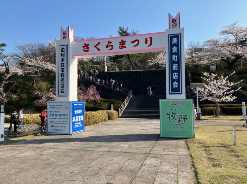 『　本荘公園さくらまつり　』秋田市の家づくり、新築住宅ならプライムハウス　現場管理　大渕裕幸