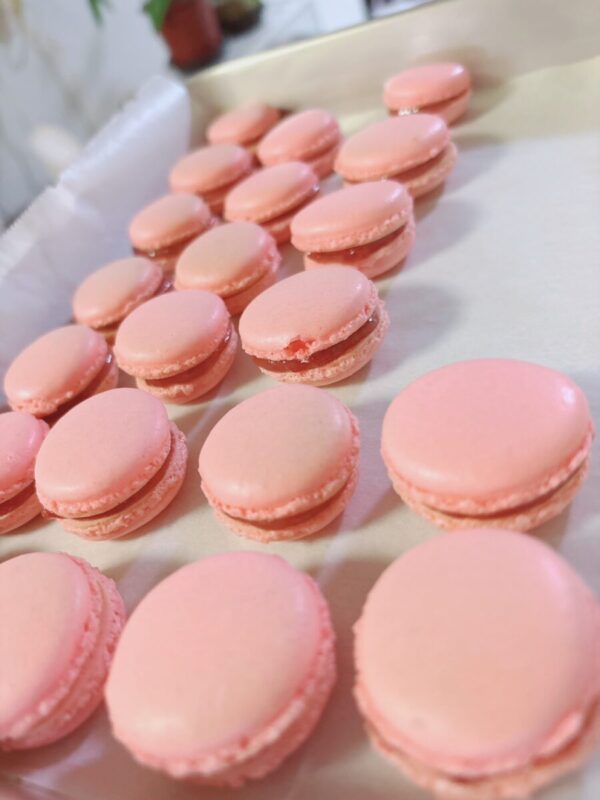 「マカロン」秋田市の不動産、新築住宅、新築一戸建てならプライムハウスにお任せ！　富樫杏菜