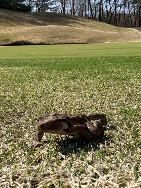 「そこのけそこのけ」秋田市の家づくり、新築住宅ならプライムハウス　:　成田伸一