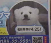 『　ホッキョクグマ名前　』秋田市の家づくり、新築住宅ならプライムハウス　現場管理　大渕裕幸