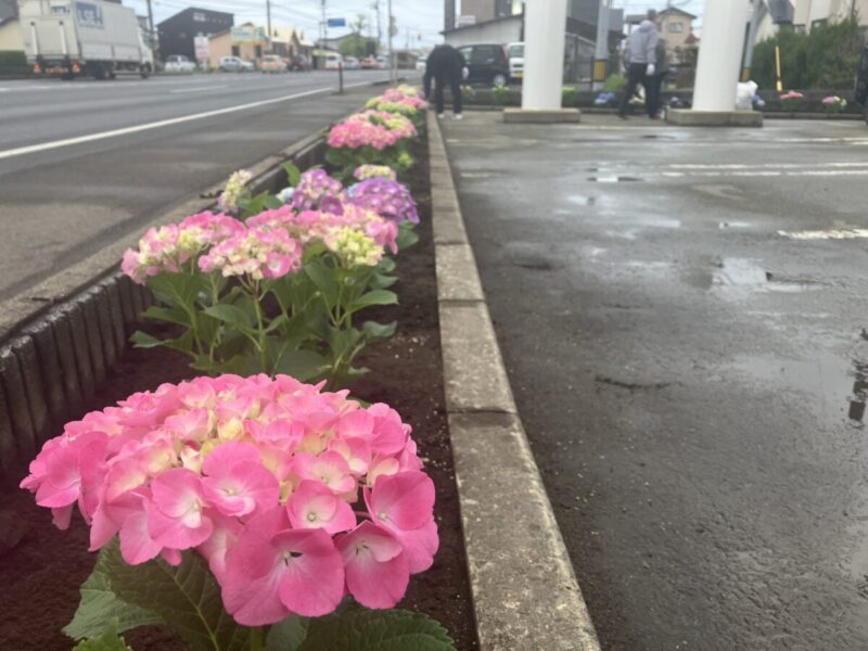 「 華やか！ 」秋田市の不動産、新築住宅、新築一戸建てならプライムハウスにお任せ！　営業部/田中望