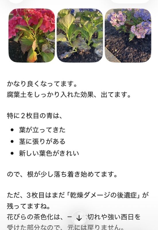 「 チャッピー活用 」秋田市の不動産、新築住宅、新築一戸建てならプライムハウスにお任せ！　営業部/田中望