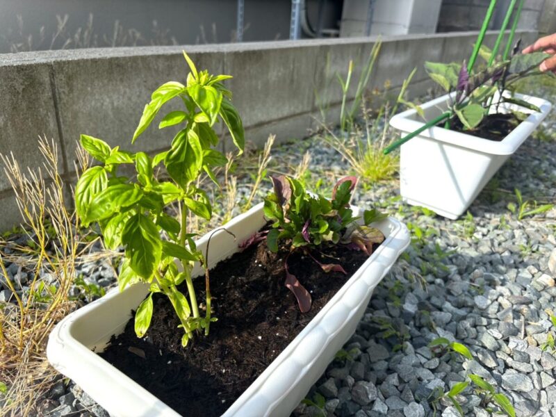 『　自給自足➁　』秋田市の家づくり、新築住宅ならプライムハウス　杉山江梨子