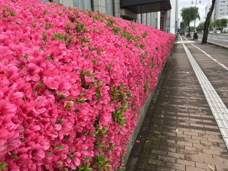 「 夢中 」秋田市の不動産、新築住宅、新築一戸建てならプライムハウスにお任せ！　営業部/田中望