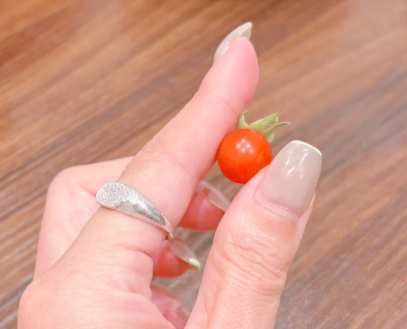 『　🍅ミニマム🍅　』秋田市の家づくり、新築住宅ならプライムハウス　杉山江梨子