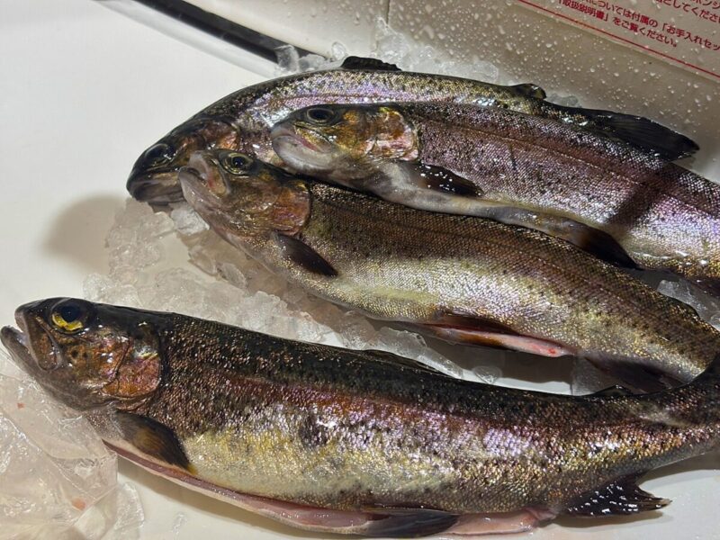 『　釣り師　』秋田市の家づくり、新築住宅ならプライムハウス　杉山江梨子