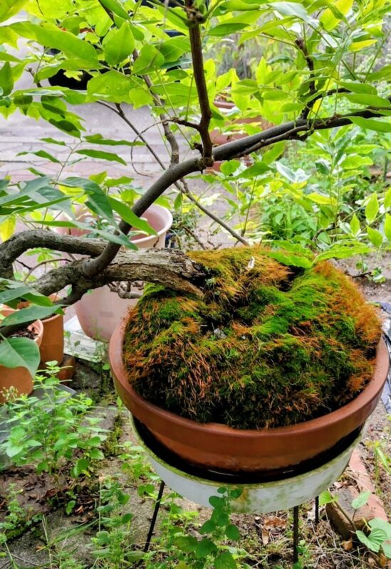 「かえる、かえる！」秋田市の不動産、新築住宅、新築一戸建てなら プライムハウスにお任せ！　総務部　佐藤浩喜