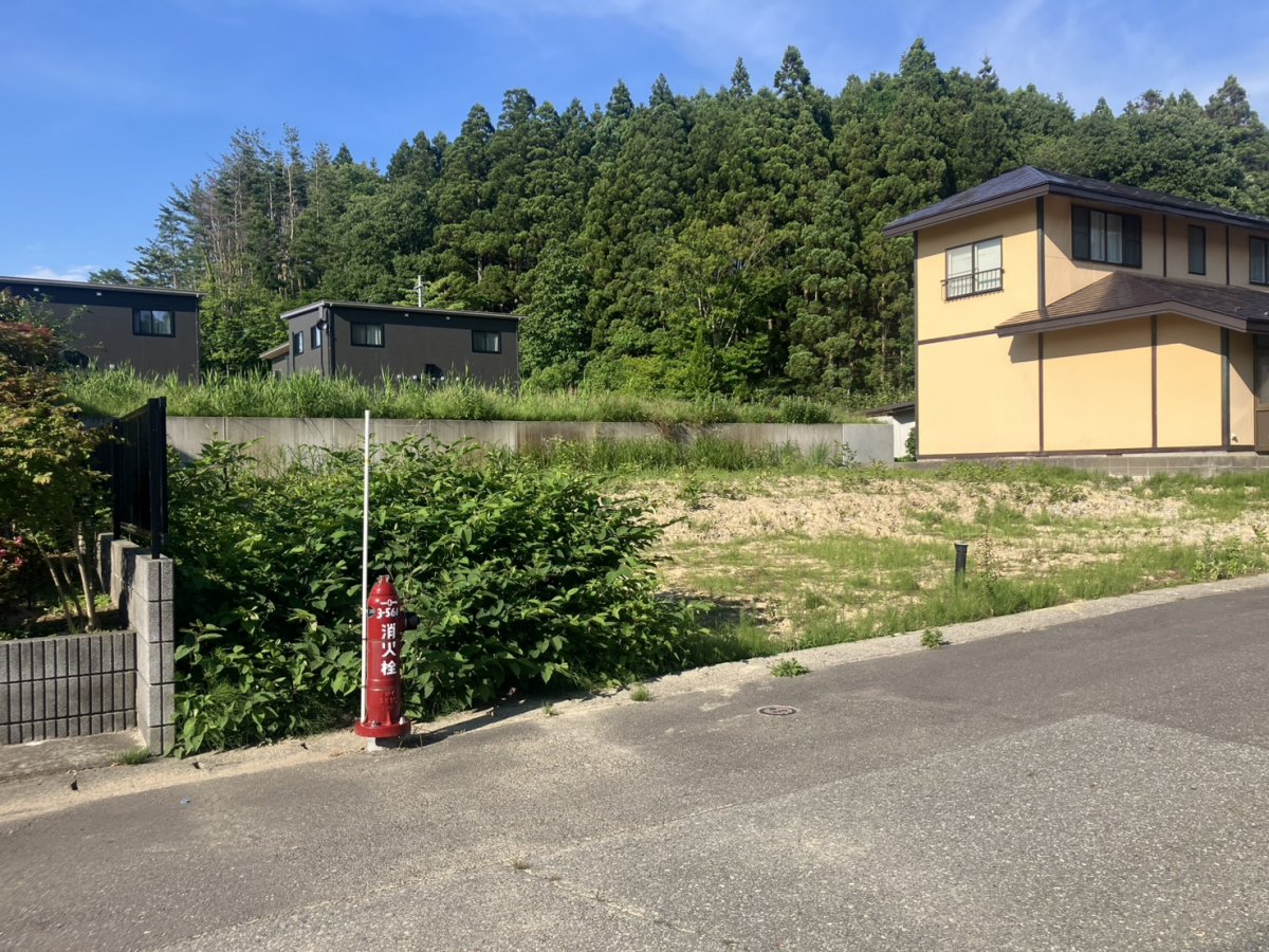 現地写真：2026年6月撮影