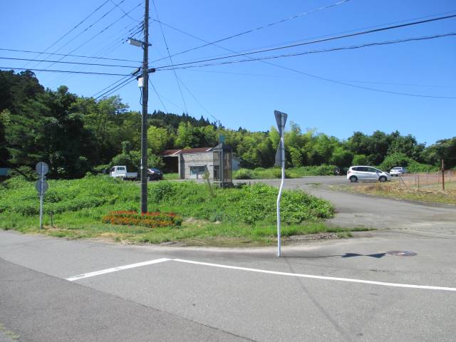 その他現地