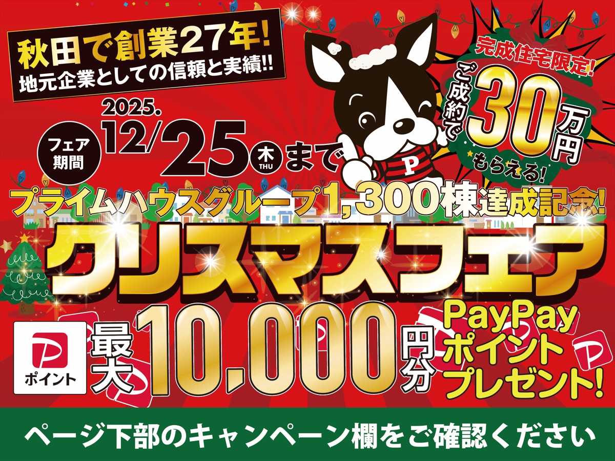12/25までクリスマスフェア開催中🎅