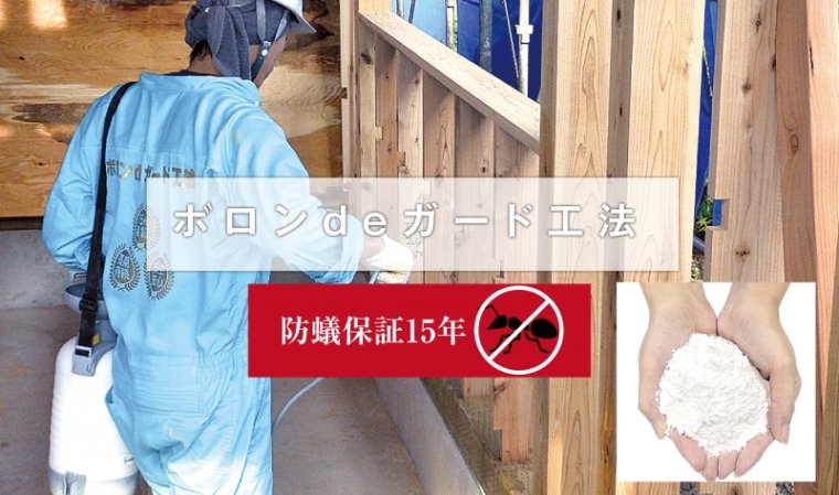 【ボロンdeガード】