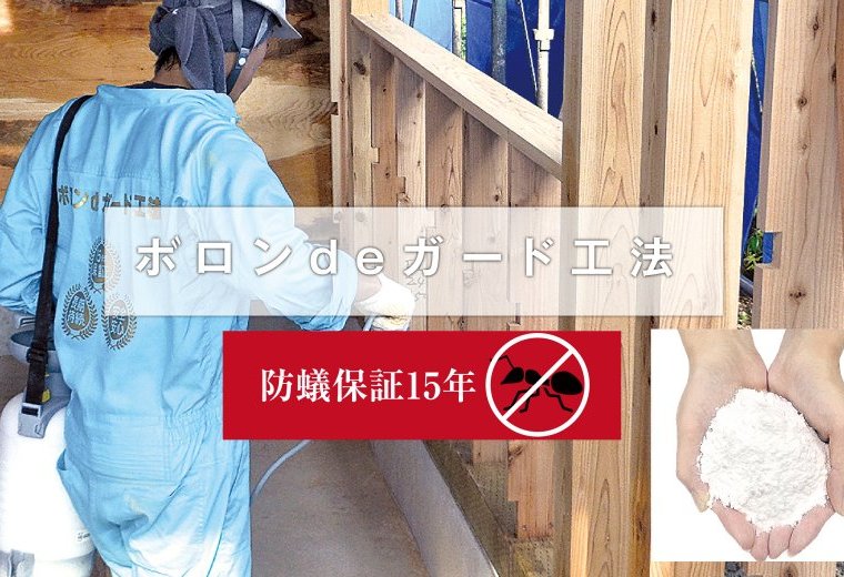 【ボロンdeガード】　