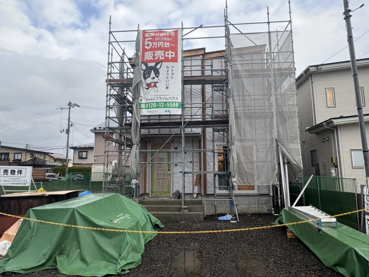 現地写真　2025年11月末撮影