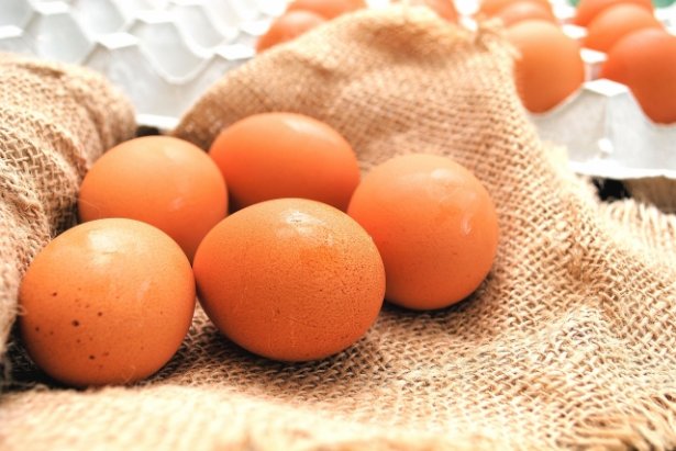 ■早得！卵プレゼント🥚