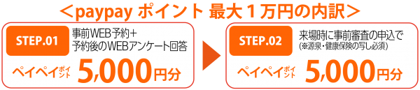 <ペイペイ㌽獲得条件>